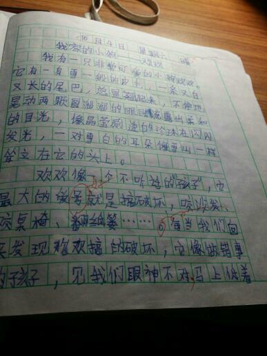 美在初中这里600字