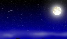 中秋月夜作文600字