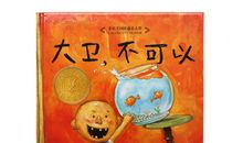 大卫不可以读后感