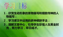 三颗枸杞豆读后感