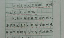 蜗牛的启示作文