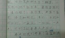 春天来了作文150字