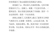 大年三十作文400字