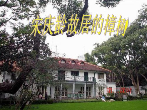 宋庆龄故居樟树的思考