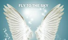 天使的翅膀读后感