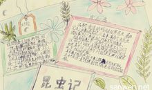 昆虫记和童年读后感