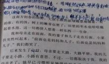 初一课文散步读后感