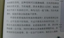 小学作文未来的学校