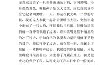 我心目中的英雄作文