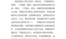 杨志卖刀读后感300字