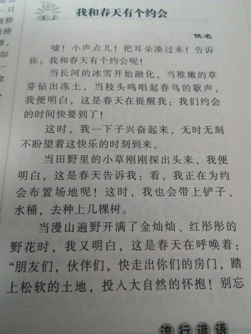 关于景观的构图