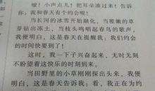 有关风景的作文