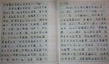 未来的学校作文600字