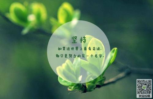 成功在于坚持写作400个单词