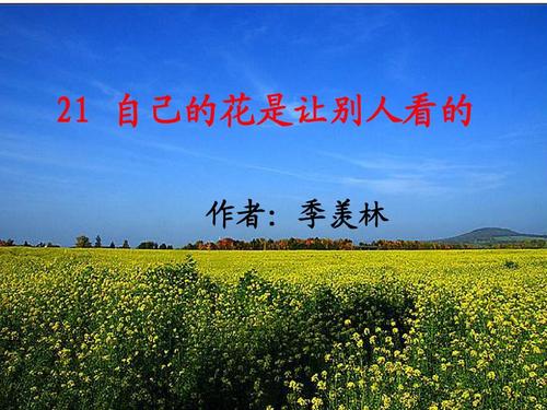 自己的花朵是别人想念的事