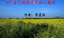 自己的花是让别人看的读后感