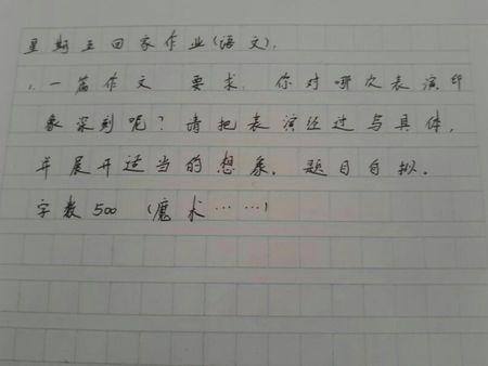 看春节晚会作文400字