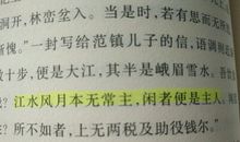 读《苏东坡传》后有感