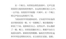 作文那一次我成功了