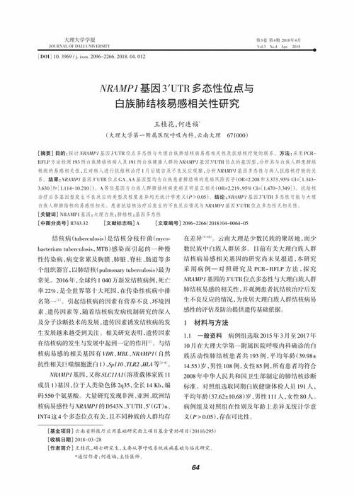 关于白族的六年级论文