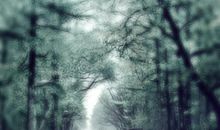 经典语录：人生最大的遗憾，莫过于错误的坚持