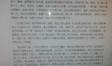 夏天的景色作文