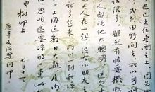 鲁迅的作品读后感500字