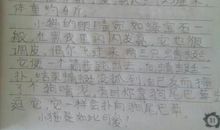 描写动物外貌的作文