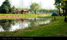 世纪公园一日游作文