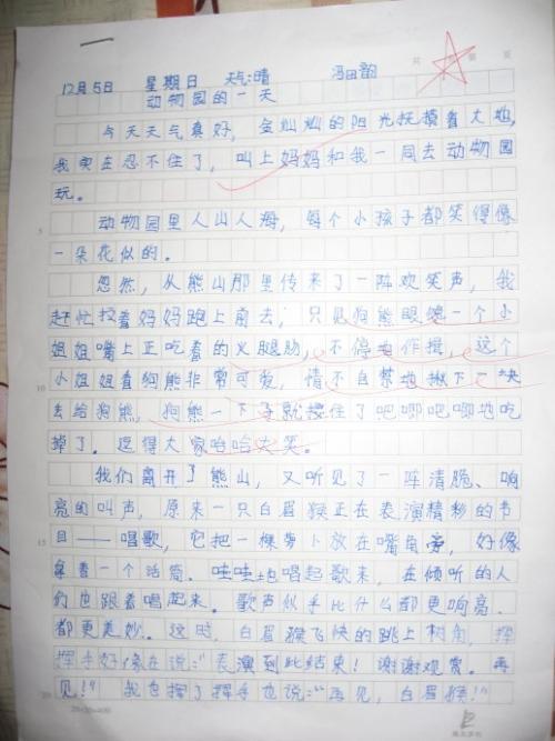 小学生描述动物的构图