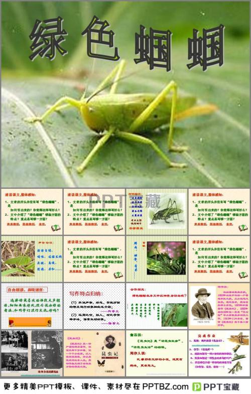 看完绿色蚱hopper