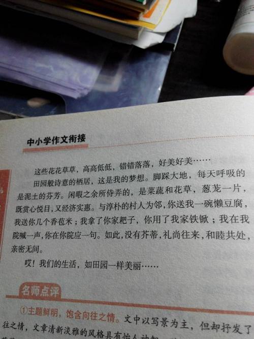 记住600字的辩论