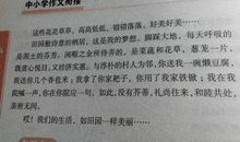 记一次辩论会600字