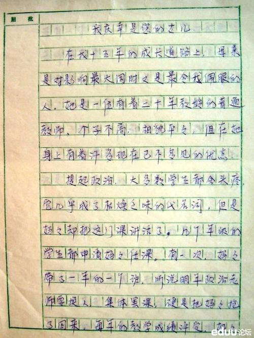 世界是如此美妙的构图400字