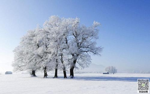 描述冬季风景的精美文章
