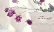 经典语录：多少事，记着心塞，忘了心疼