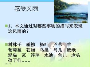 冯玉嘉平凹阅读后的思想