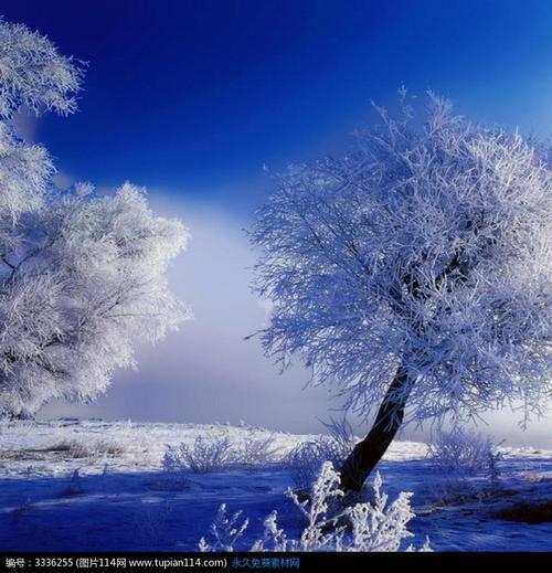 描述冬季雪景的精美文章