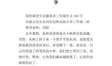 十一趣事作文300字