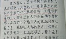 关于风景的作文