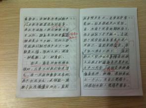 世界是如此美妙的构图500字