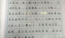 初三的生活作文600字