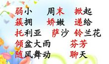 我不是最弱小的读后感