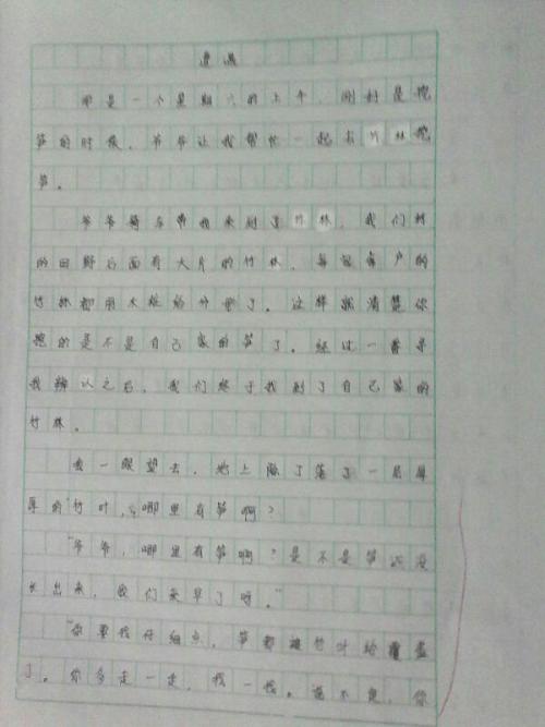 选择800字的作文