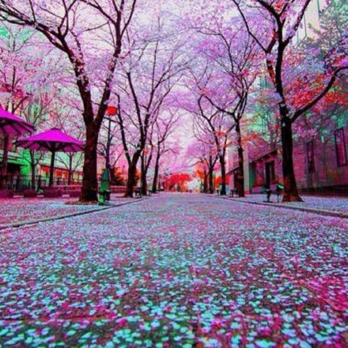 经典语录：做最简单的人，走最幸福的道路。