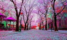 经典语录：做一个最单纯的人，走一段最幸福的路。