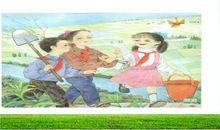 走，我们去植树读后感