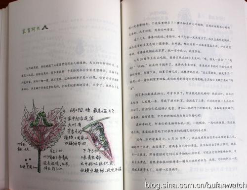 读《超越生命的爱》后的感想