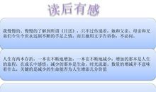 目送读后感100