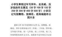 压岁钱作文100字